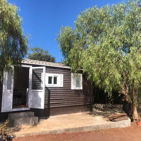Casita Entre Vinedos, Experiencia Rural, Ideal Ninos. Holiday home Tegueste