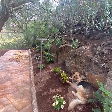 Casita Entre Vinedos, Experiencia Rural, Ideal Ninos. Holiday home Tegueste