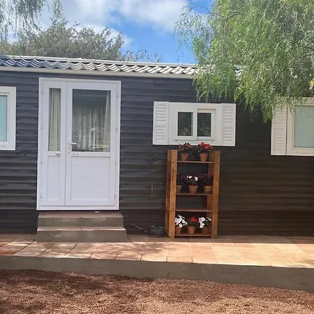 Holiday home Casita Entre Vinedos, Experiencia Rural, Ideal Ninos. Tegueste