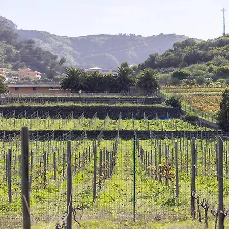 Casita Entre Vinedos, Experiencia Rural, Ideal Ninos. 펜션 *