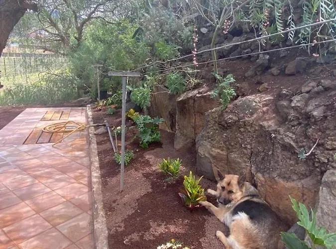 Casita Entre Vinedos, Experiencia Rural, Ideal Ninos. Dom wakacyjny Tegueste