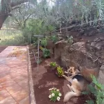 Casita Entre Viñedos, Experiencia Rural, Ideal Niños. Сasa de vacaciones Tegueste