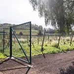Сasa de vacaciones Casita Entre Viñedos, Experiencia Rural, Ideal Niños. Tegueste