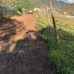 Casita Entre Viñedos, Experiencia Rural, Ideal Niños. * Tegueste