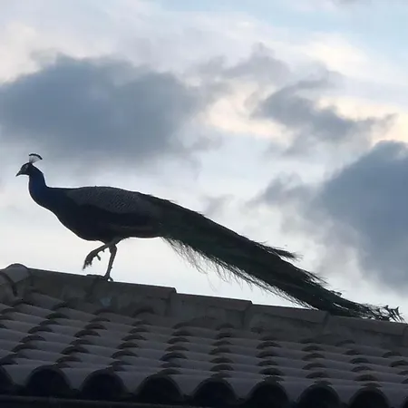 Casita Entre Vinedos, Experiencia Rural, Ideal Ninos. Casa de Férias