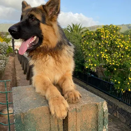 Casita Entre Vinedos, Experiencia Rural, Ideal Ninos. Casa de Férias *