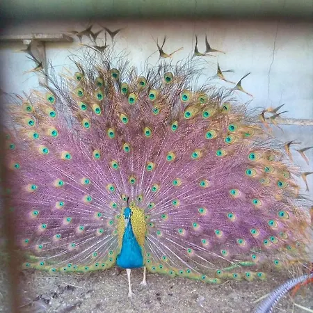 Casa de Férias Casita Entre Vinedos, Experiencia Rural, Ideal Ninos. *