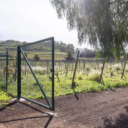 Casa de Férias Casita Entre Vinedos, Experiencia Rural, Ideal Ninos. Tegueste