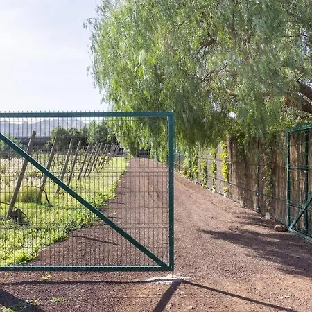 Casita Entre Vinedos, Experiencia Rural, Ideal Ninos.