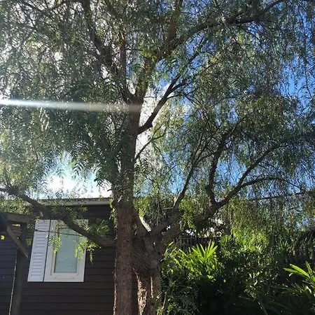 Casita Entre Vinedos, Experiencia Rural, Ideal Ninos. Casa de Férias *