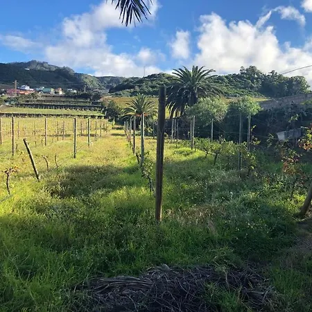 Casita Entre Vinedos, Experiencia Rural, Ideal Ninos.