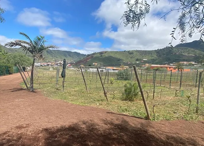 Ferienhaus Casita Entre Vinedos, Experiencia Rural, Ideal Ninos. Tegueste